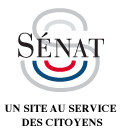 "Plan France très haut débit" et "5G" : le Gouvernement ne doit pas sacrifier la couverture du territoire (Commission - Travaux)